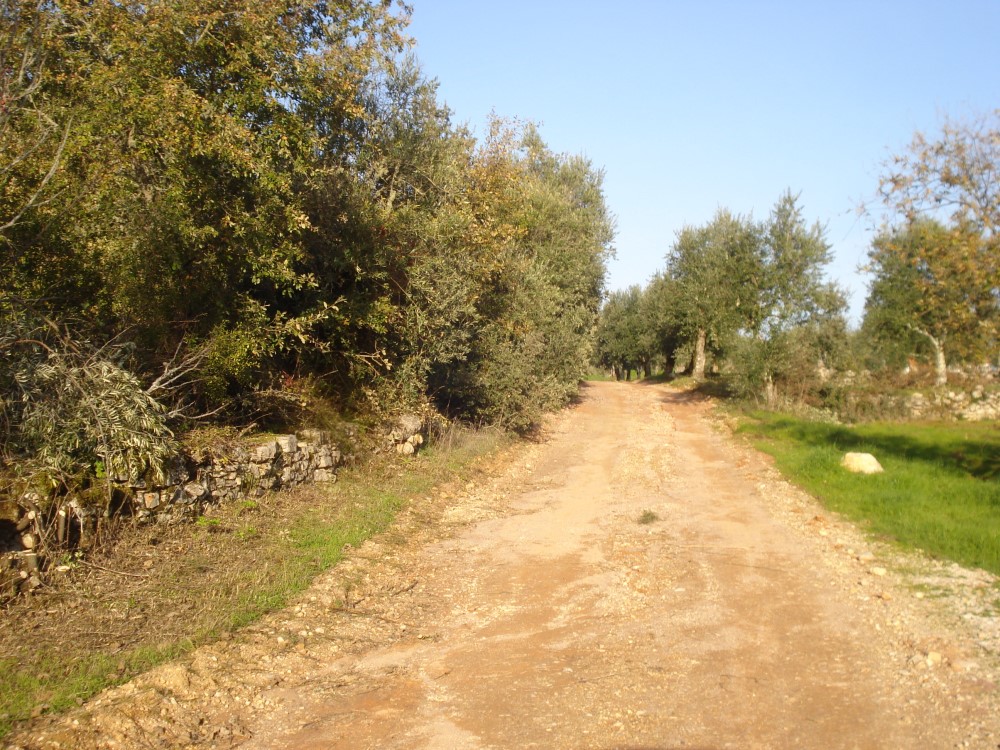 csnavecasta30