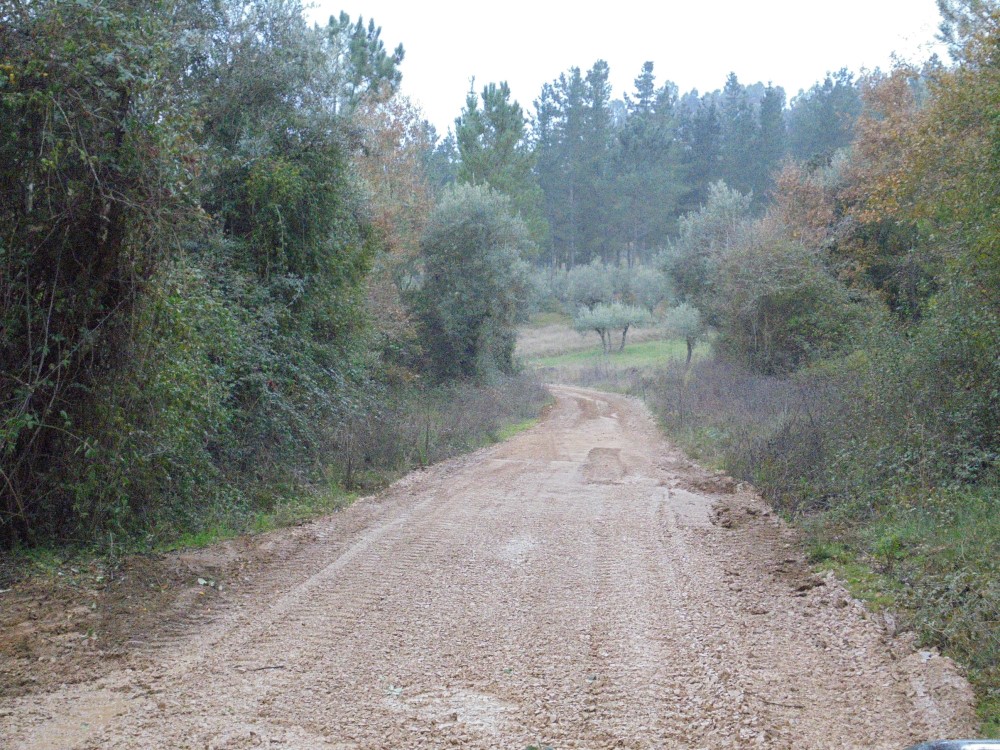 rvvverde14