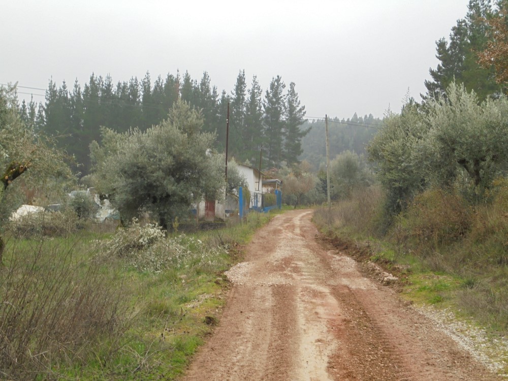 rvvverde15