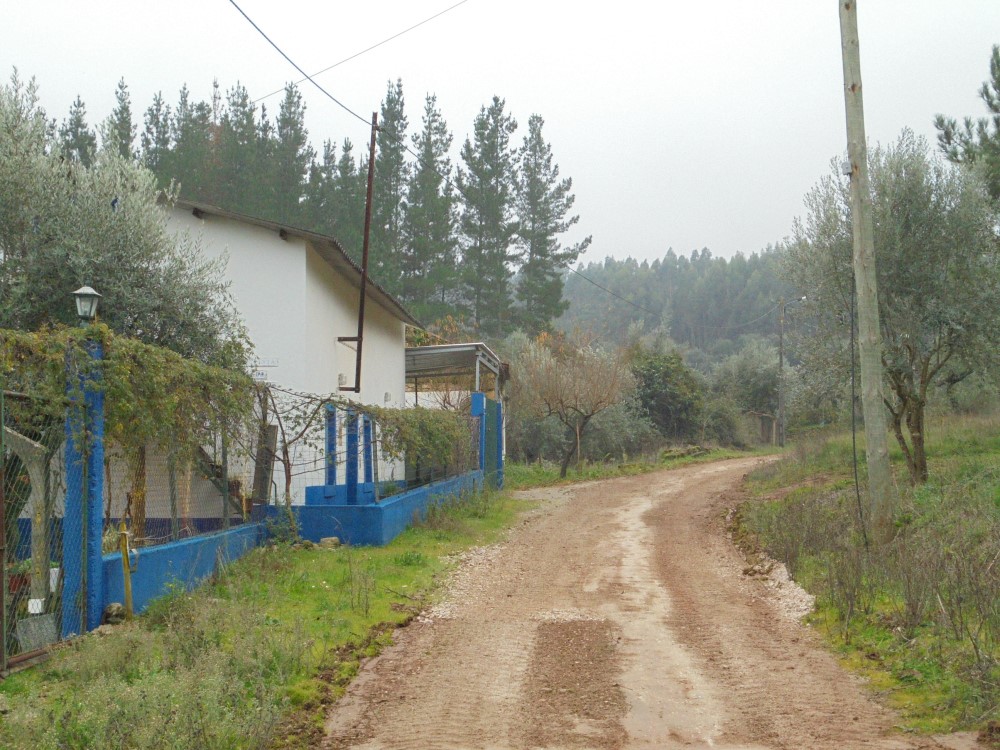 rvvverde16