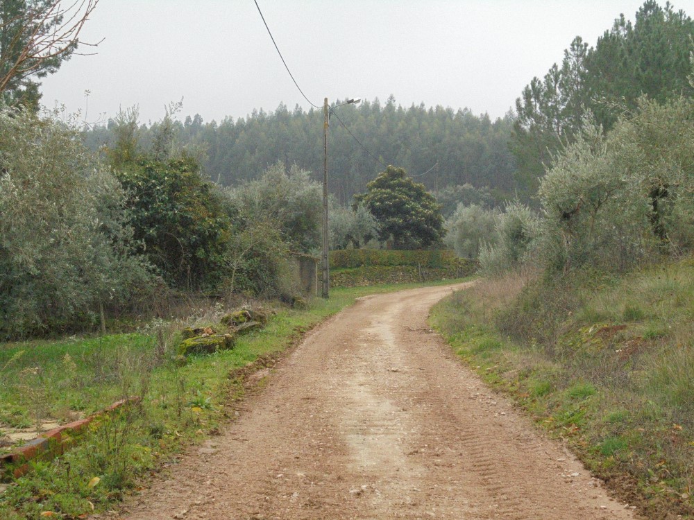 rvvverde17