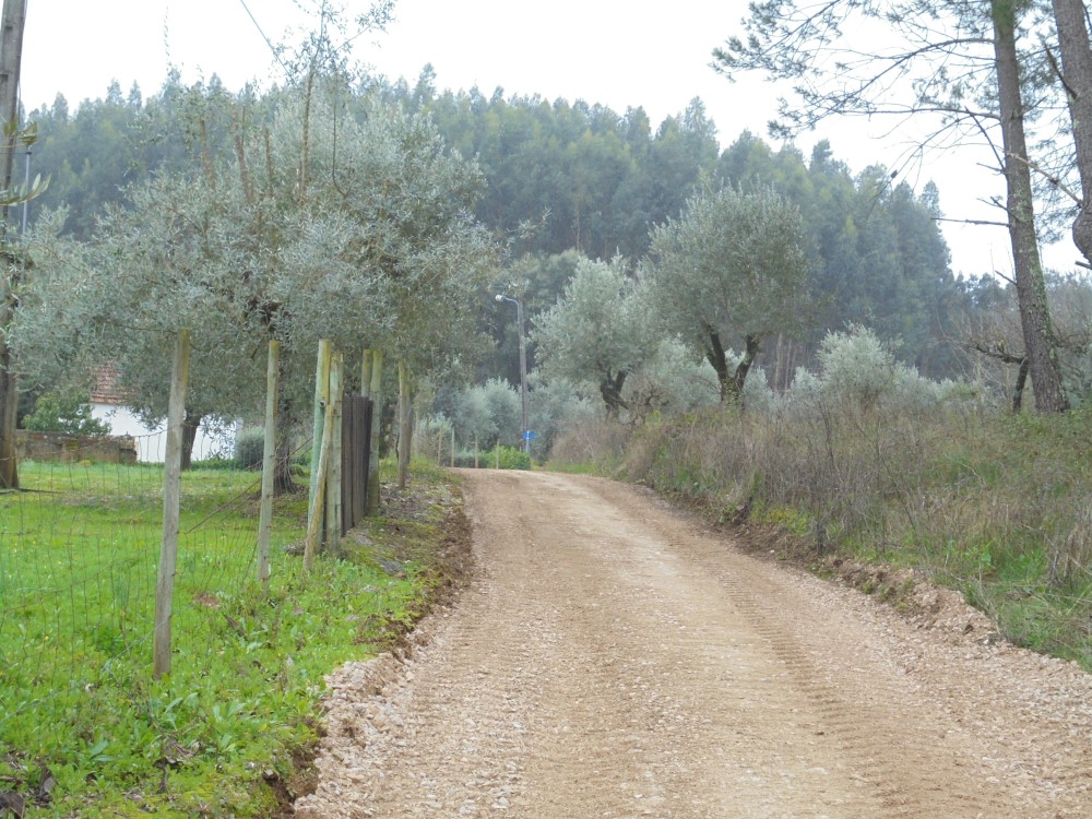 rvvverde18