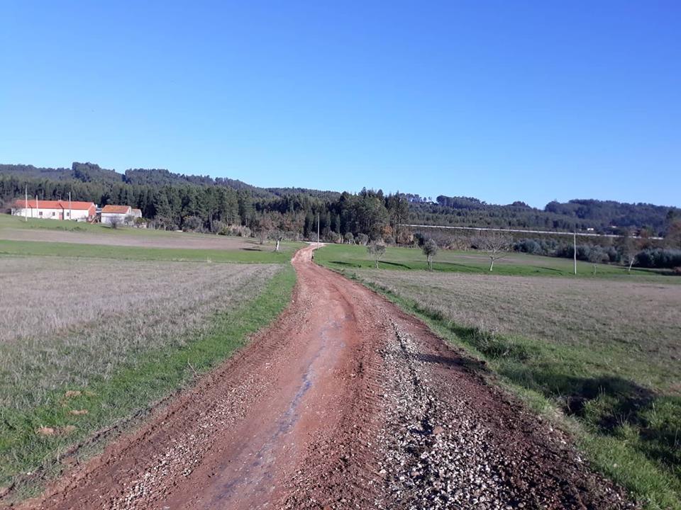 ruasmeneixas 10