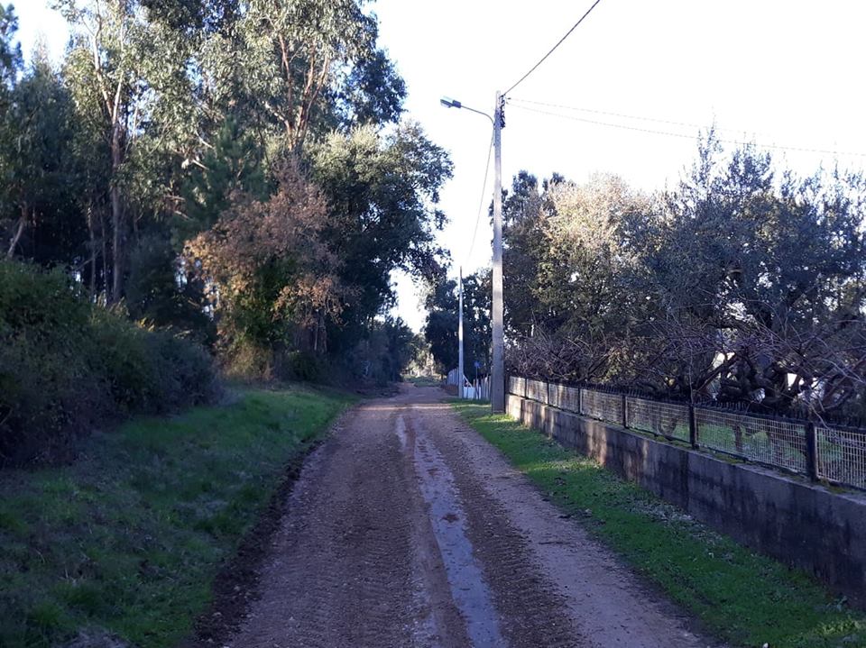 ruasmeneixas 12