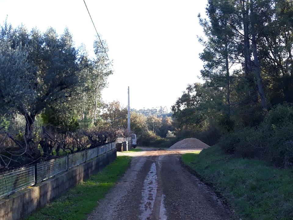 ruasmeneixas 14