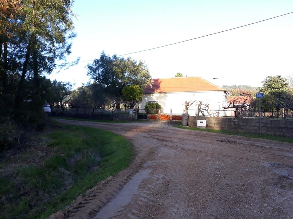 ruasmeneixas 17