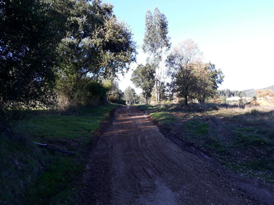 ruasmeneixas 18