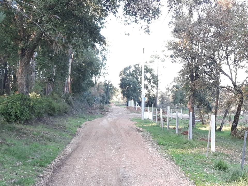 ruasmeneixas 2