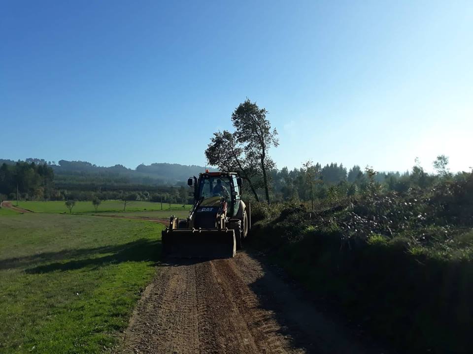 ruasmeneixas 25