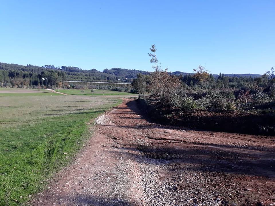 ruasmeneixas 3