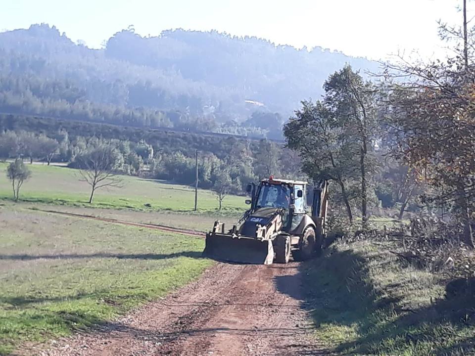 ruasmeneixas 31