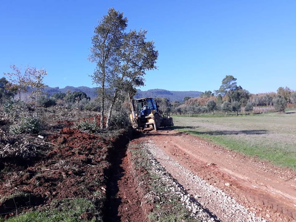 ruasmeneixas 32