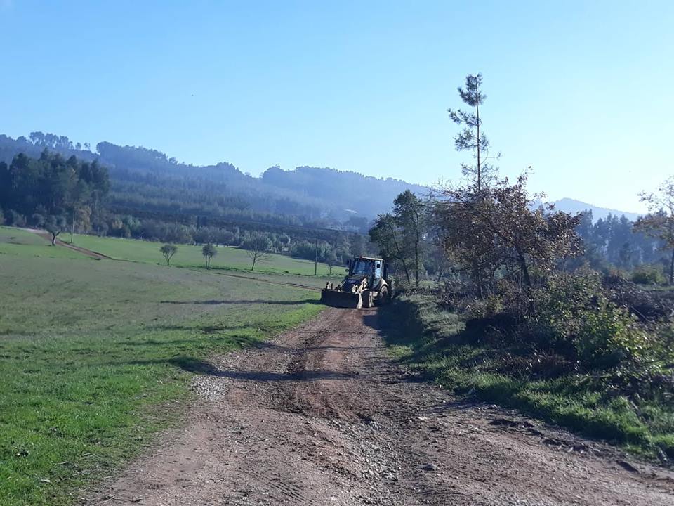 ruasmeneixas 35