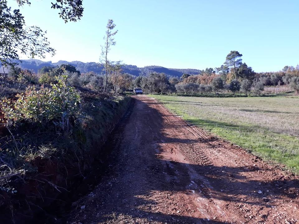 ruasmeneixas 36