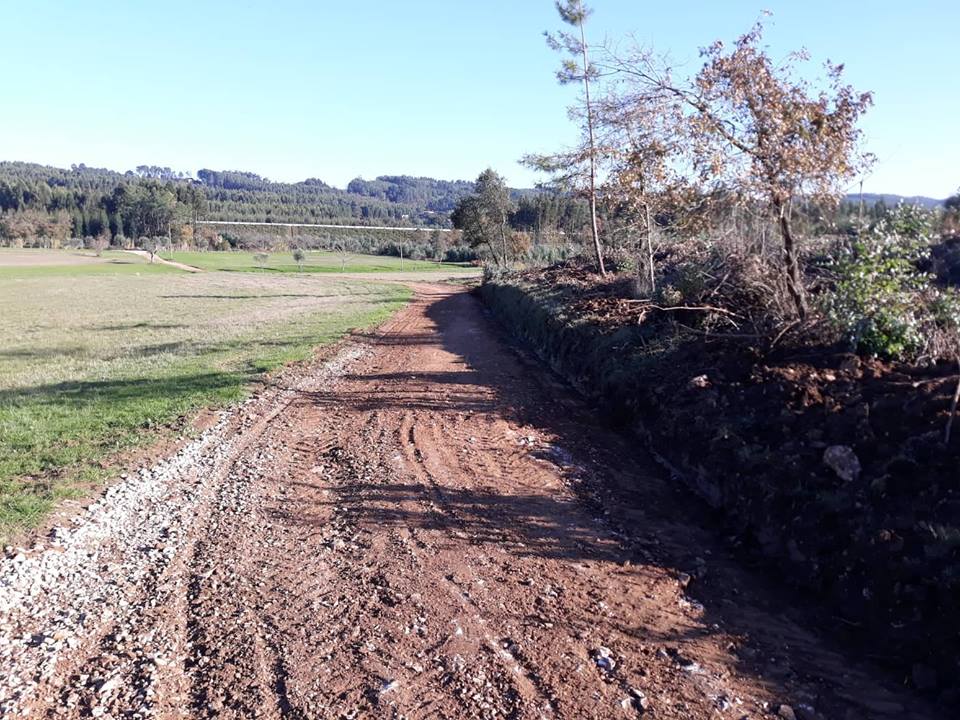 ruasmeneixas 37