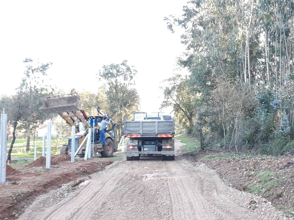ruasmeneixas 40