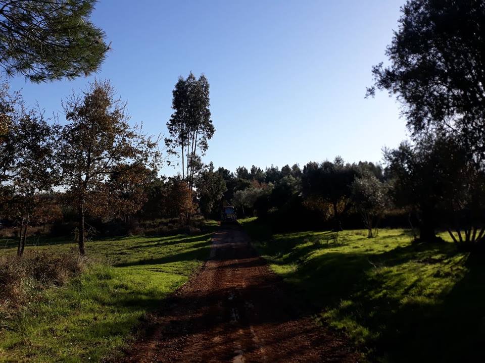 ruasmeneixas 6