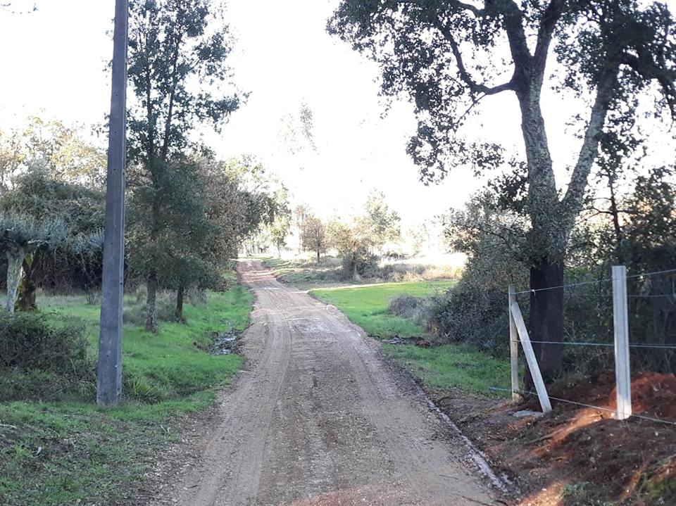 ruasmeneixas 7