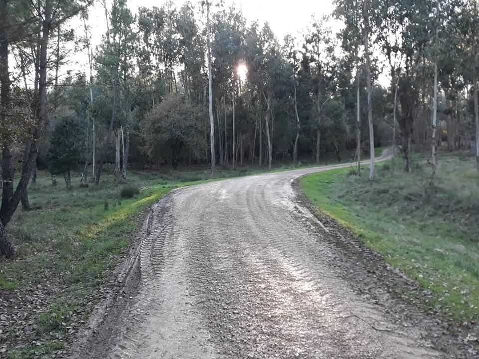ruasmeneixas 8
