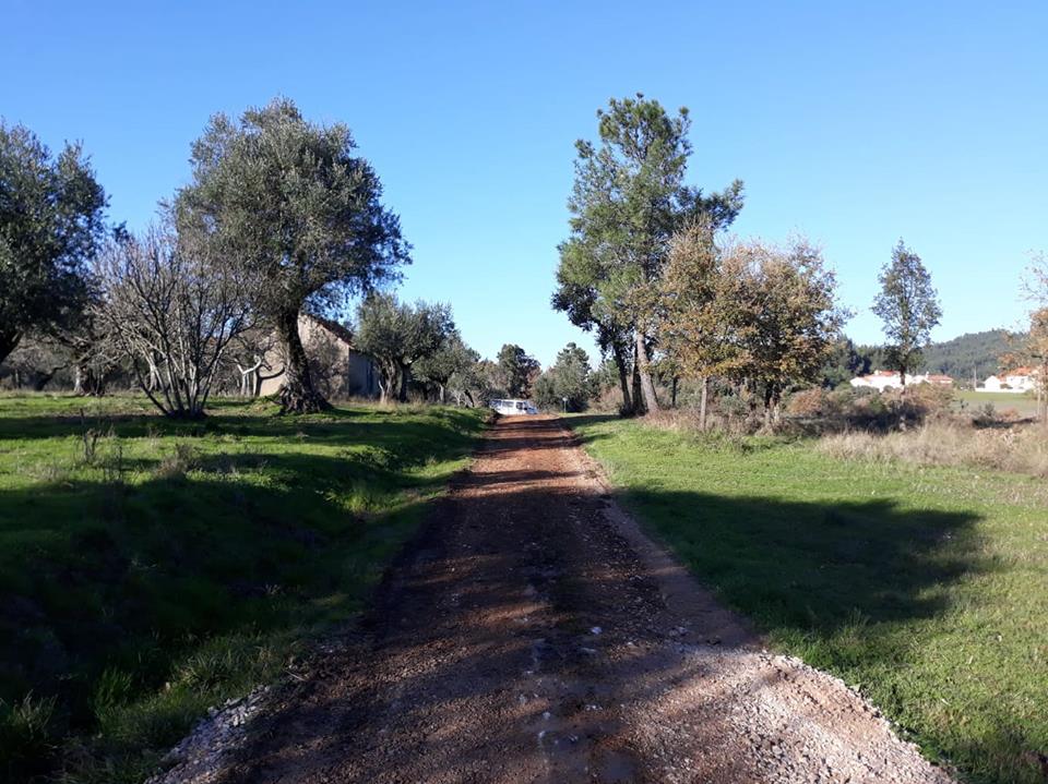ruasmeneixas 9