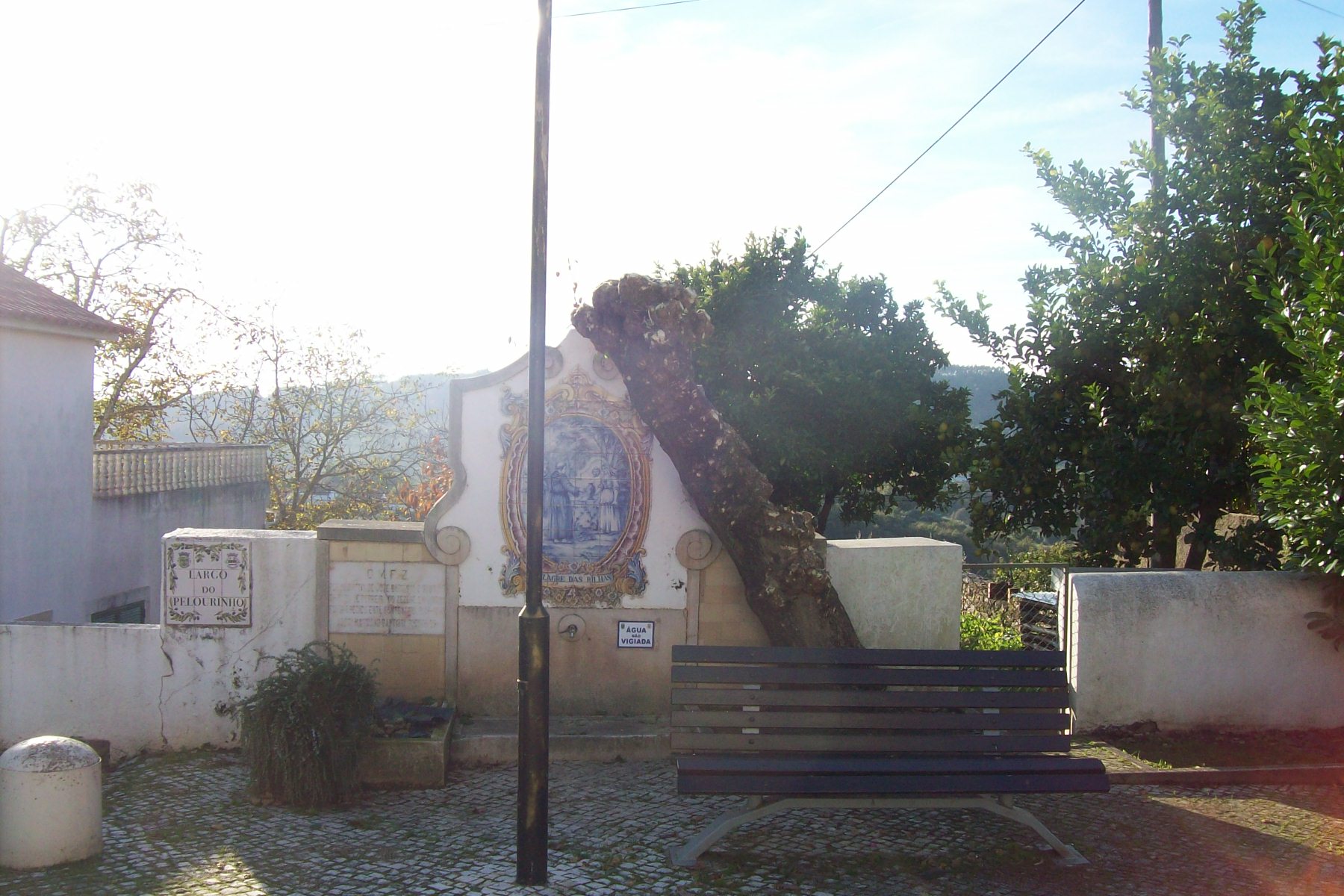 poda11