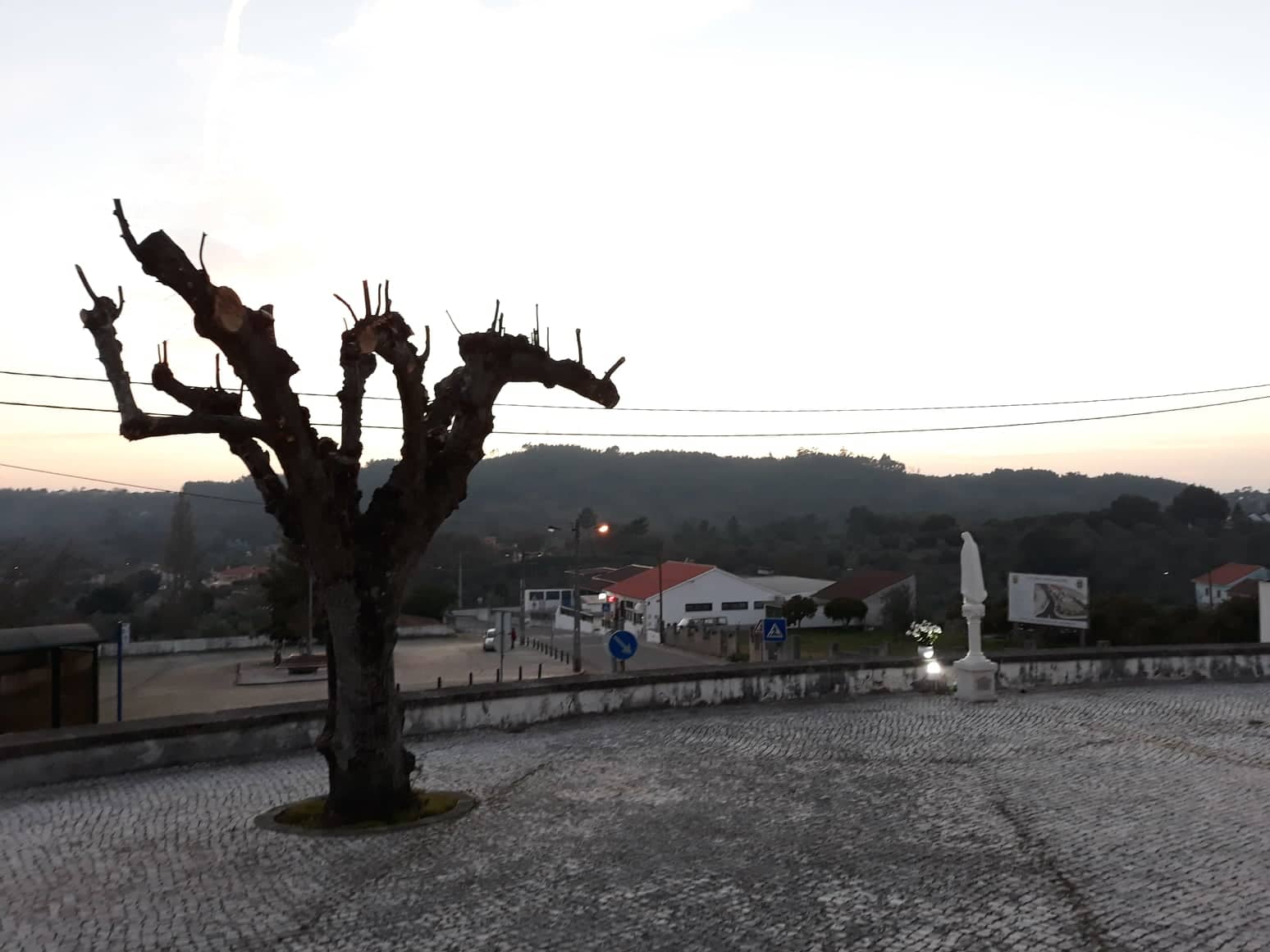 poda13