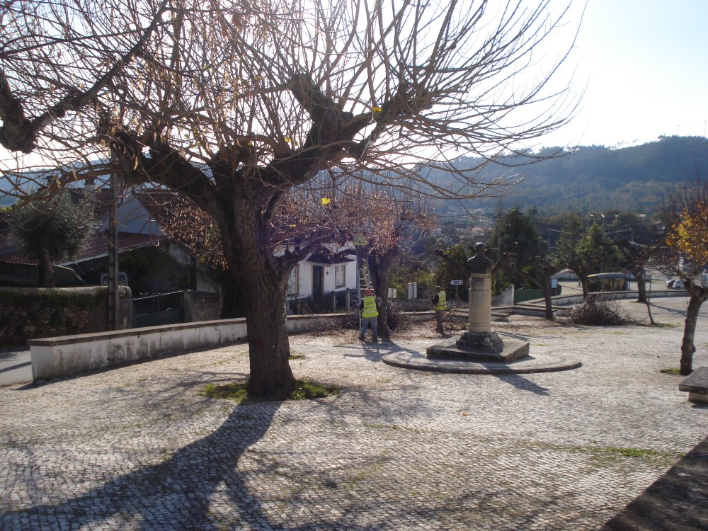 poda23
