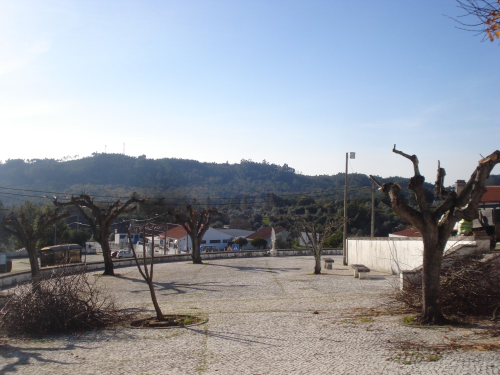 poda24