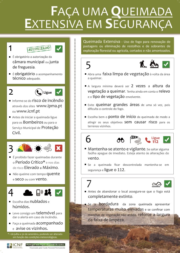 queimas4