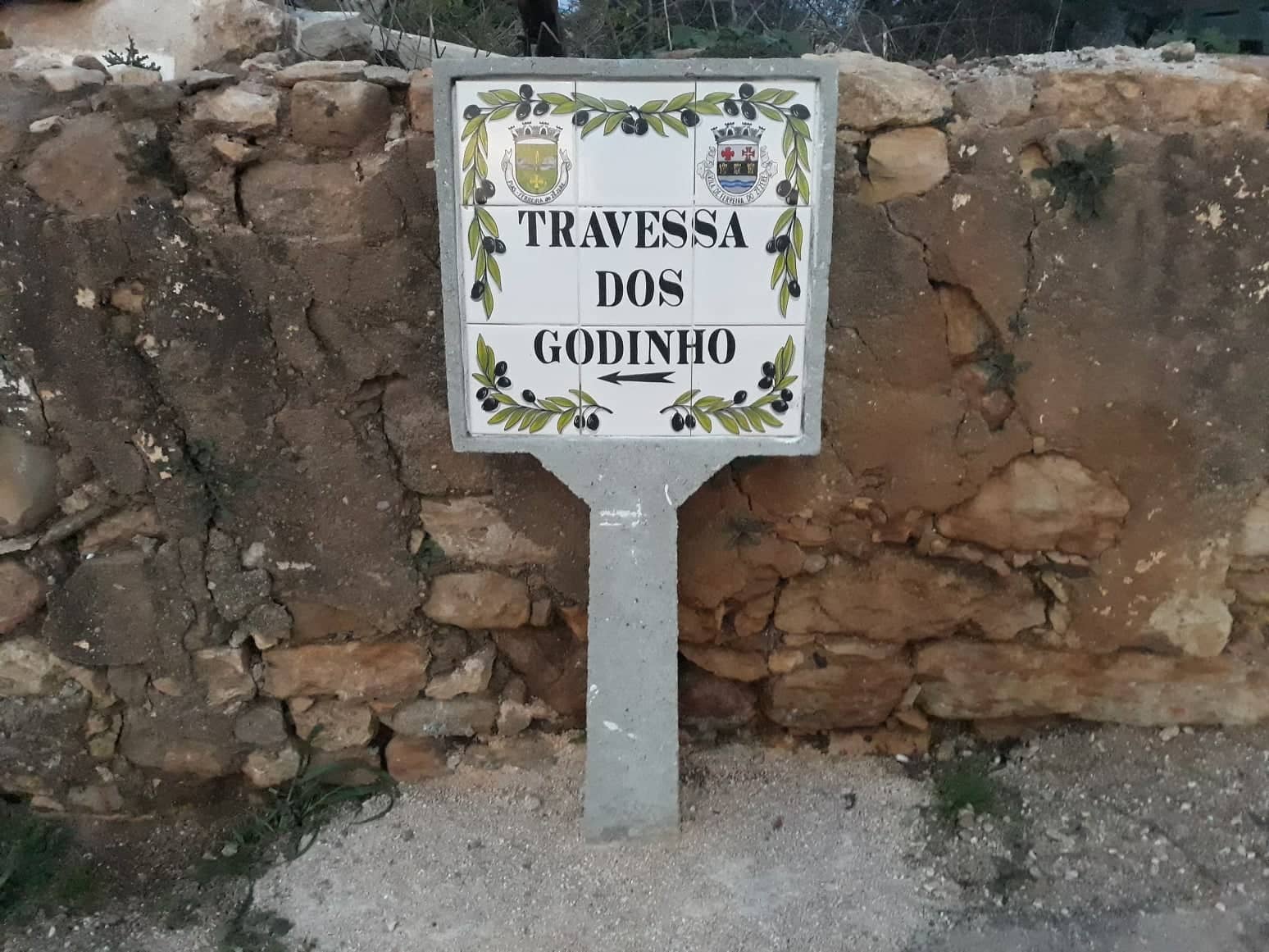tgodinho1