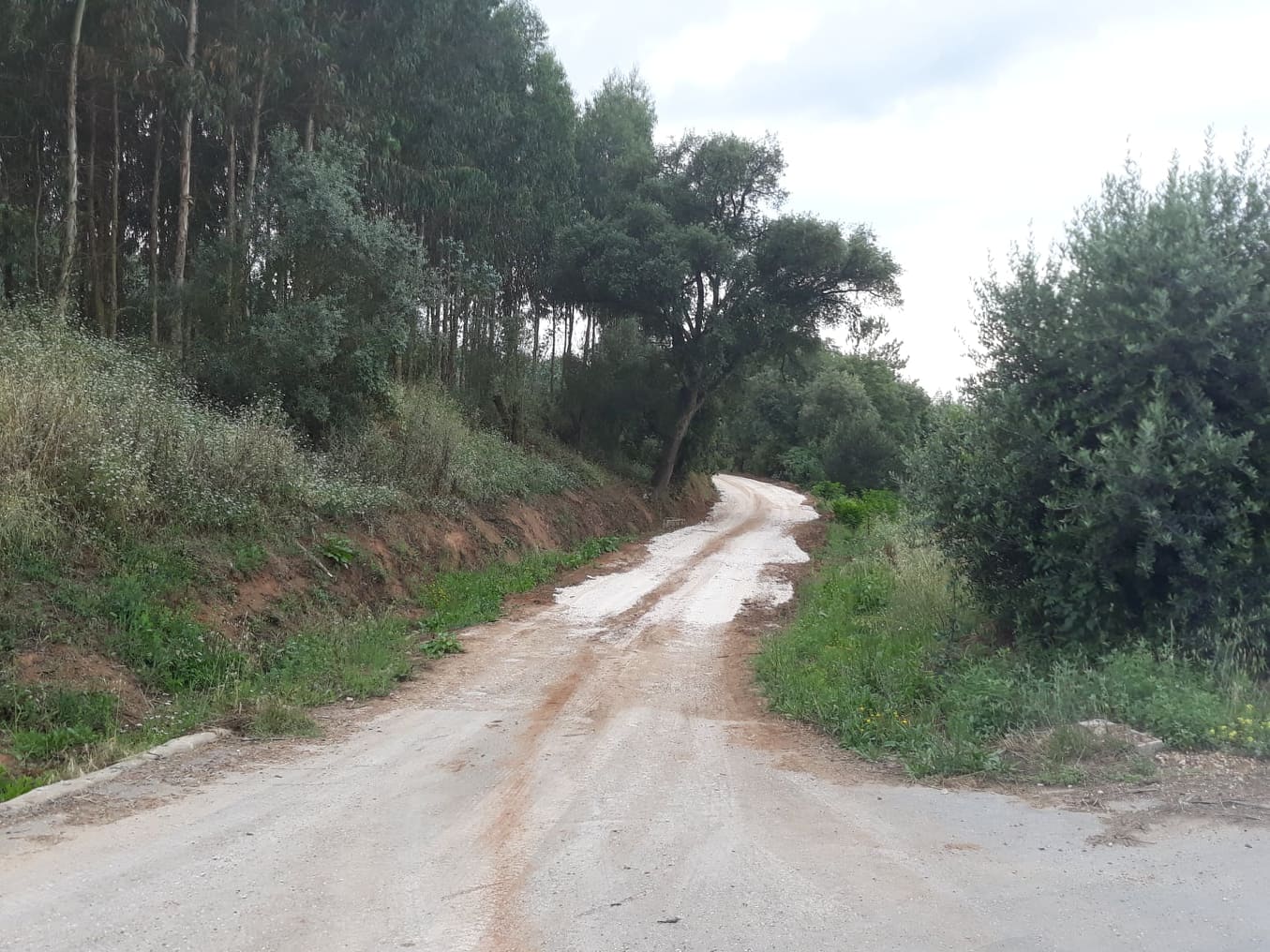 balouco 1