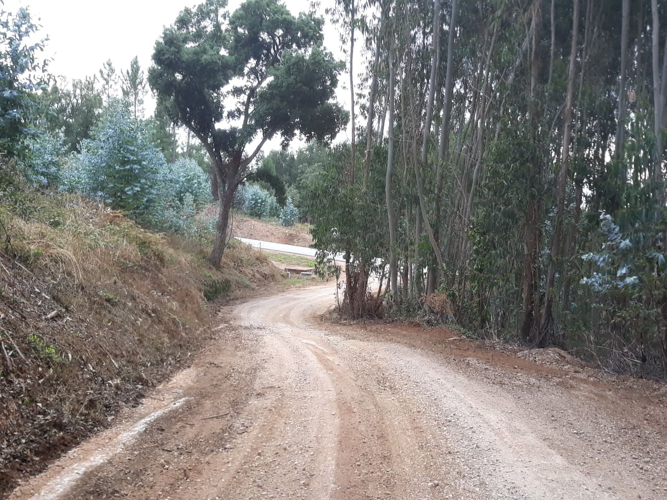 balouco 3