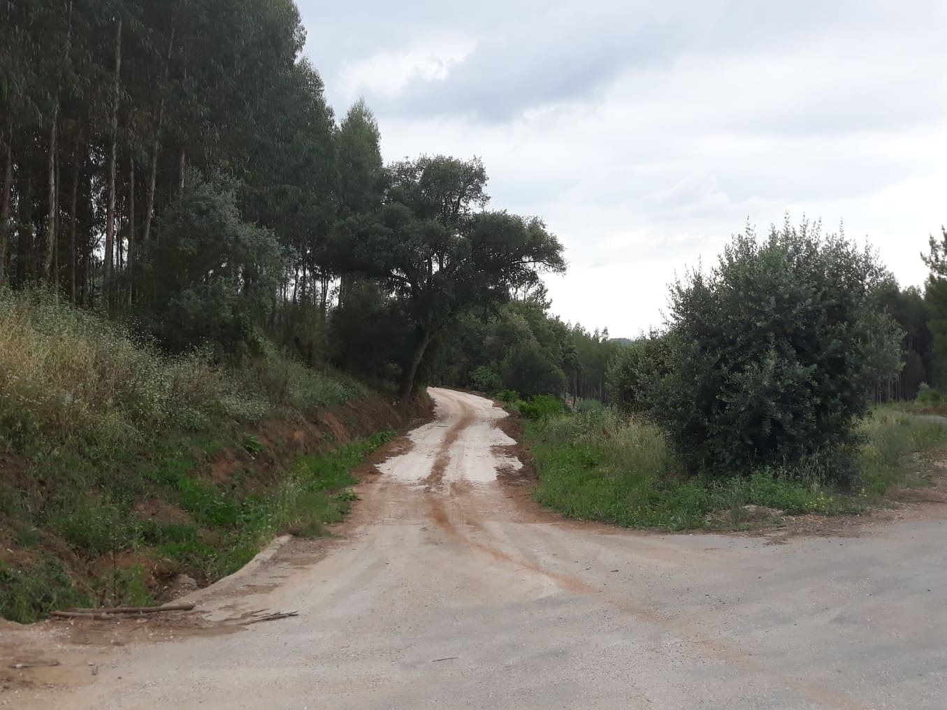 balouco 6