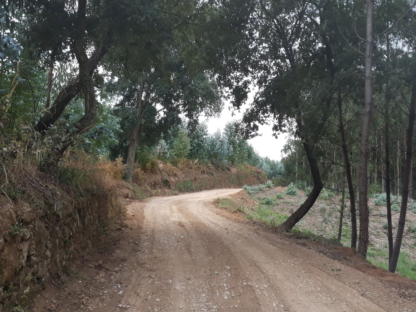 balouco 7