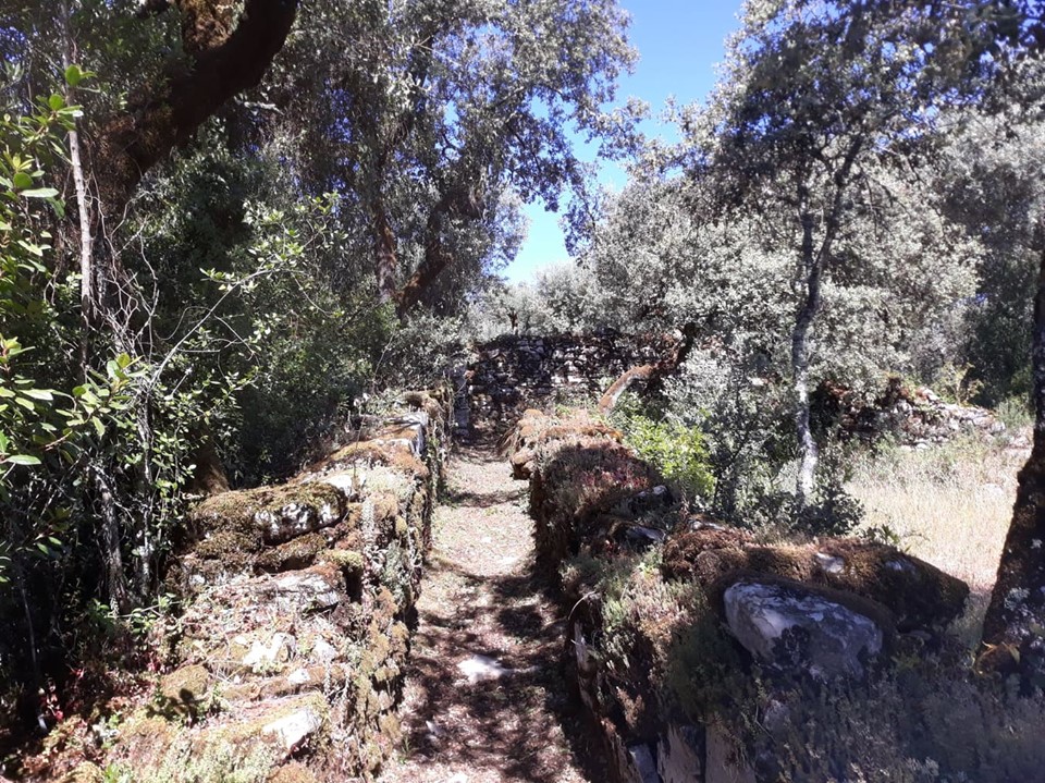 caminhosavecasta 1