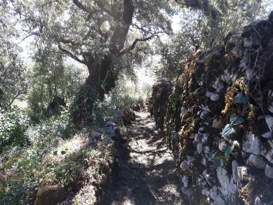 caminhosavecasta 10