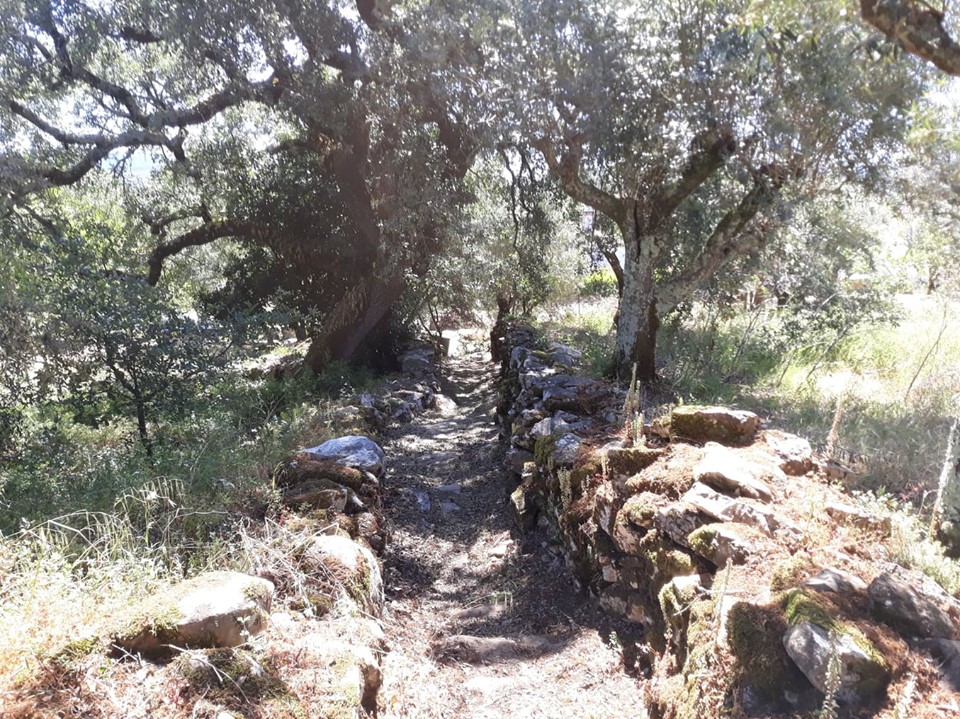 caminhosavecasta 11