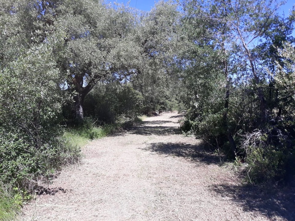 caminhosavecasta 12