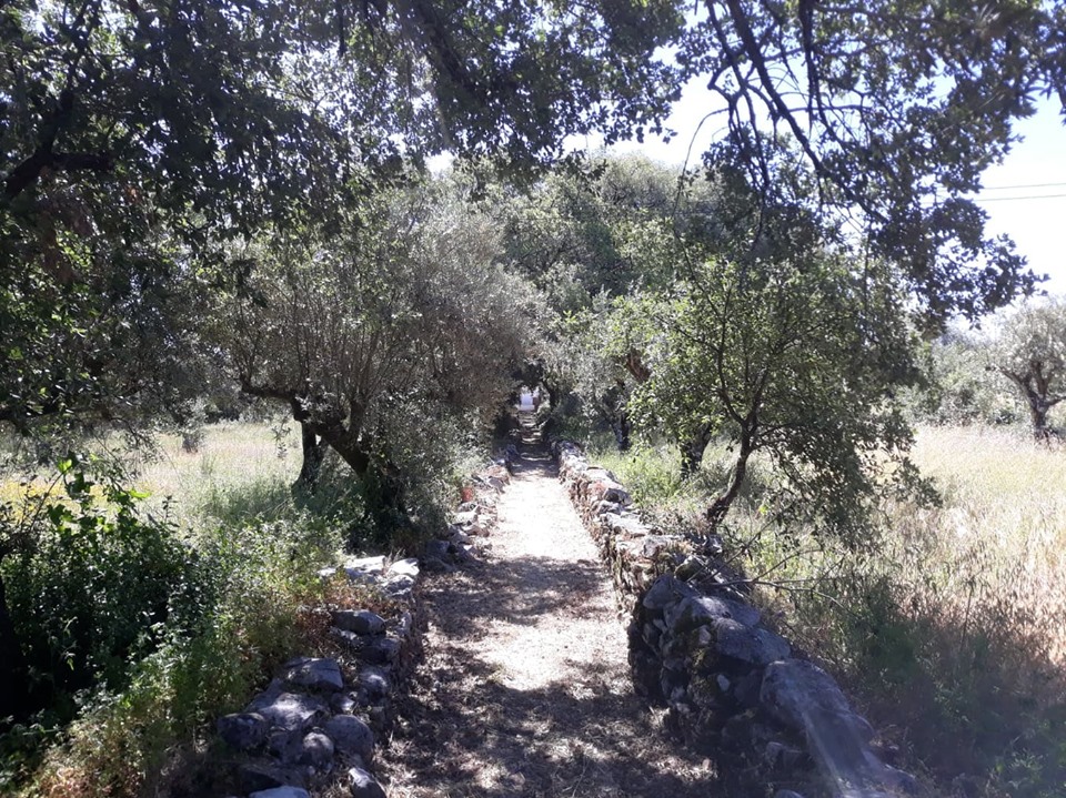 caminhosavecasta 13