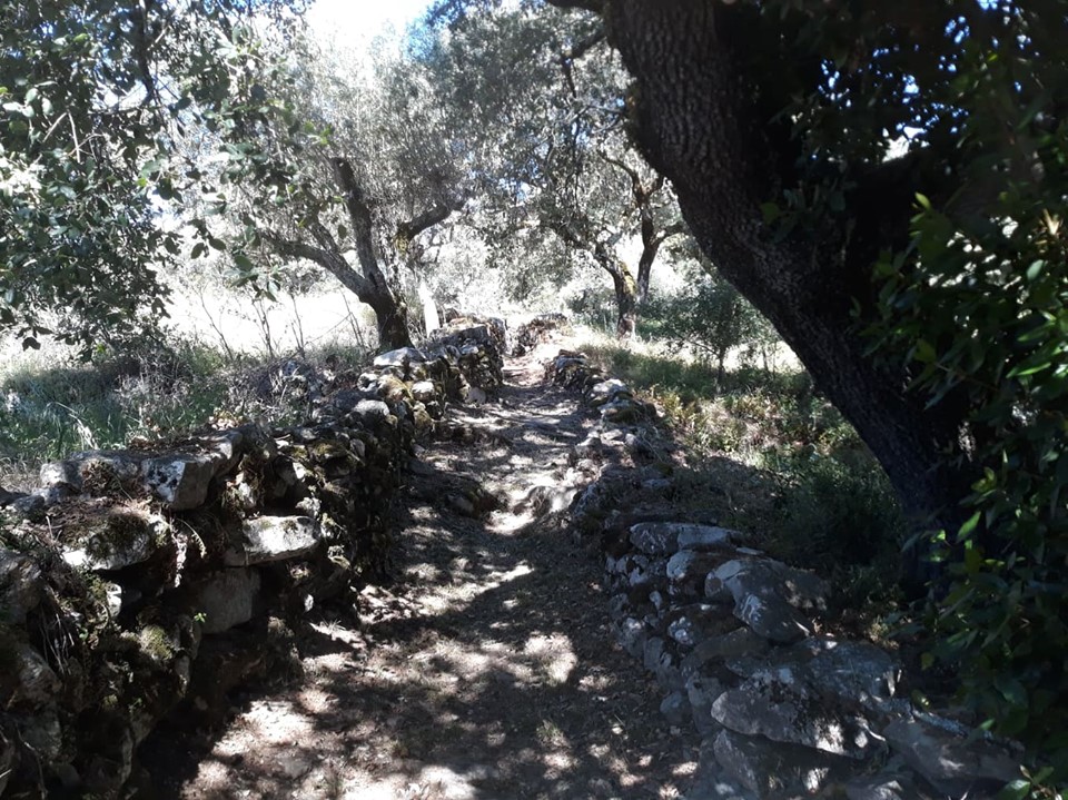 caminhosavecasta 14