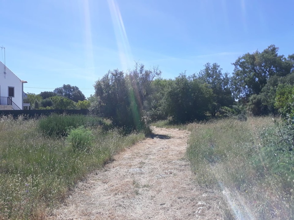 caminhosavecasta 15