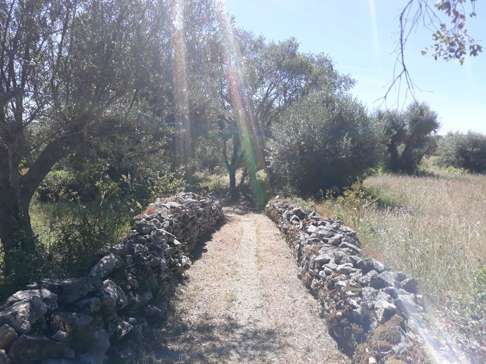 caminhosavecasta 16