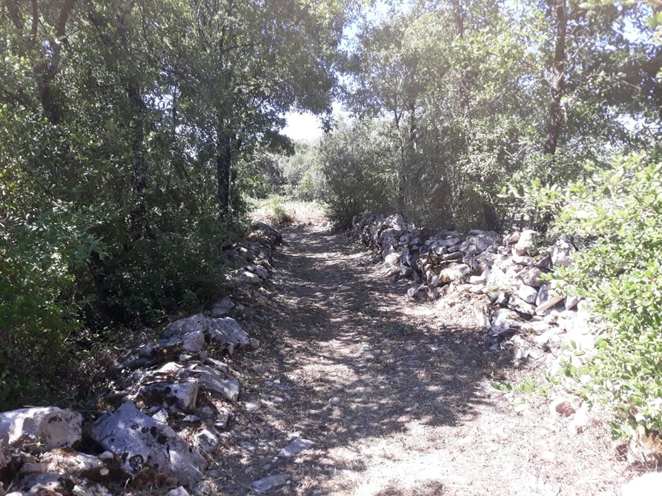 caminhosavecasta 17