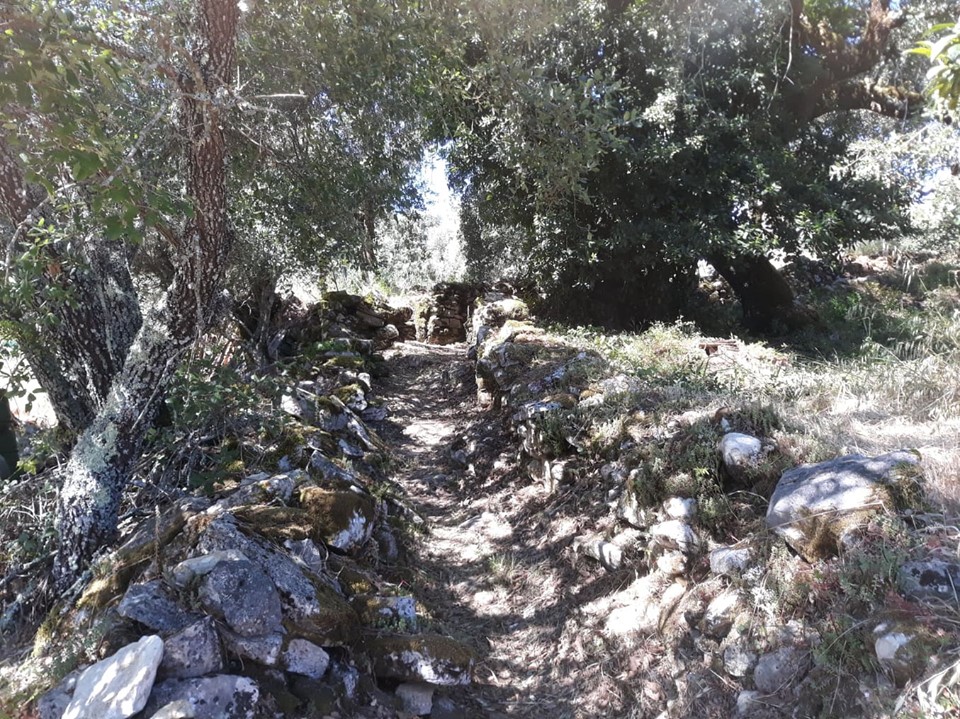caminhosavecasta 18