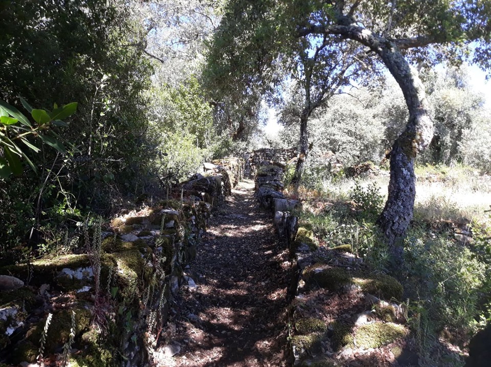 caminhosavecasta 19