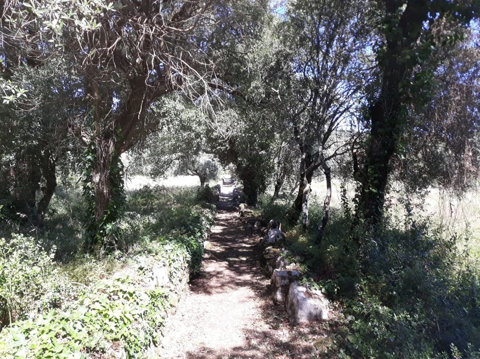 caminhosavecasta 2