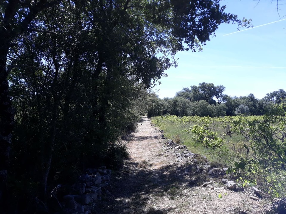 caminhosavecasta 20