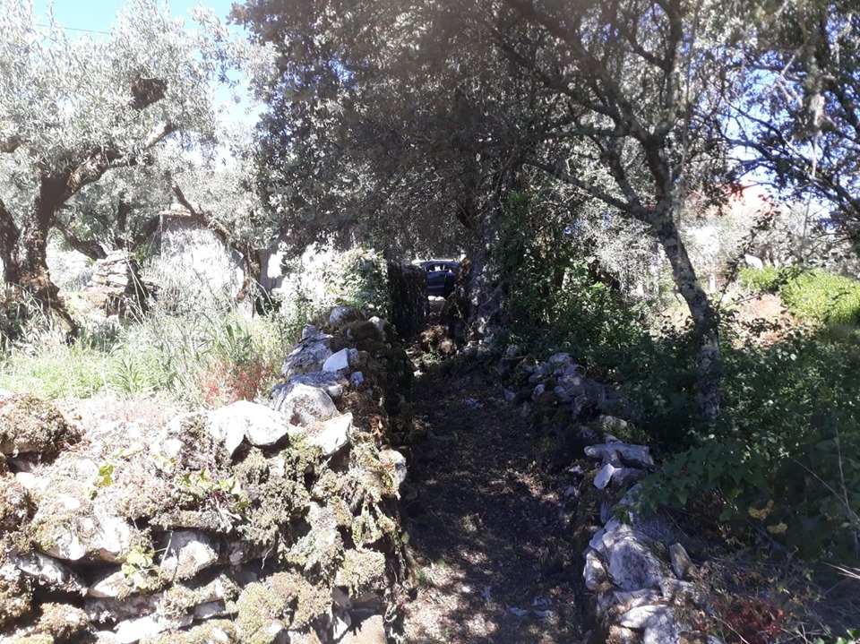 caminhosavecasta 21