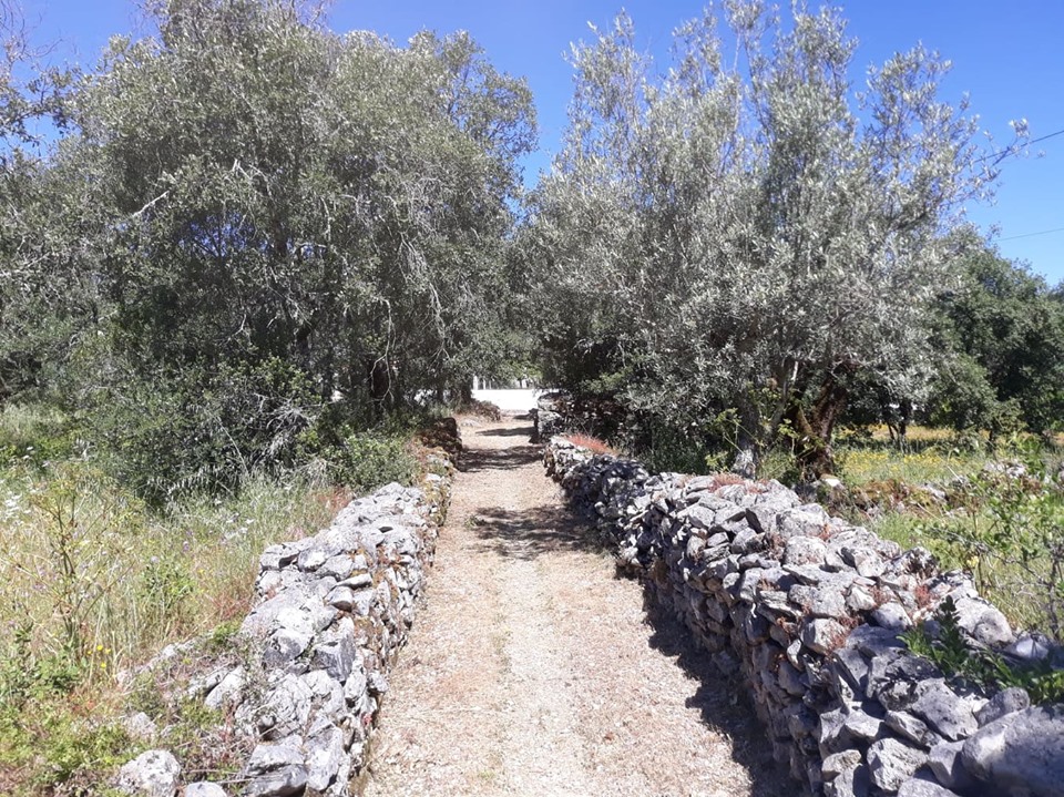 caminhosavecasta 22