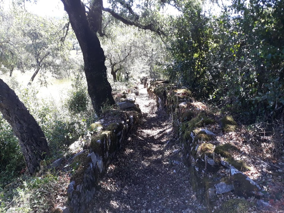 caminhosavecasta 23